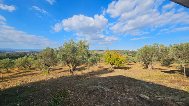 Terreno Agricolo in vendita a Squillace