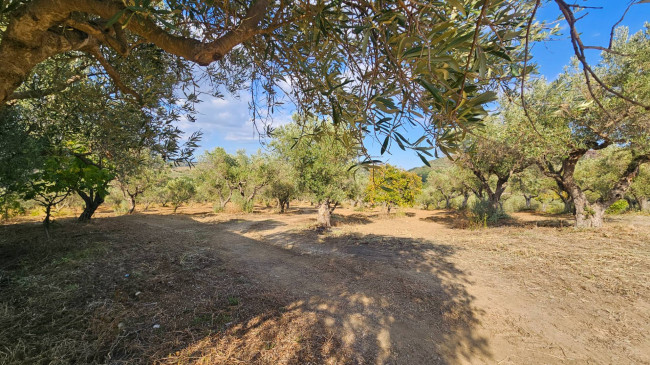 Terreno Agricolo in vendita a Squillace