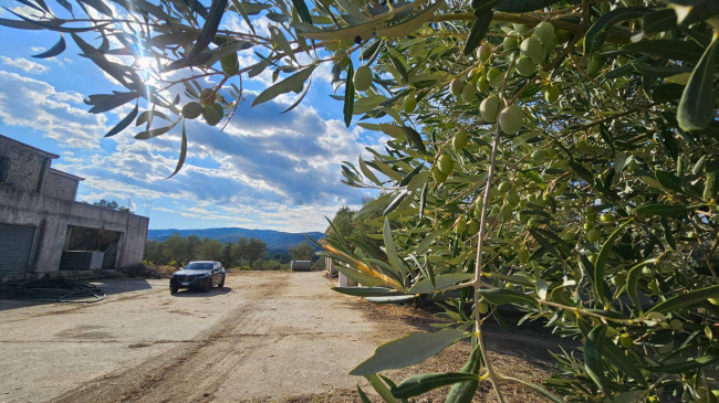 Terreno Agricolo in vendita a Squillace