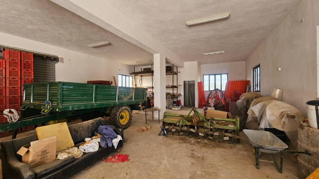 Terreno Agricolo in vendita a Squillace