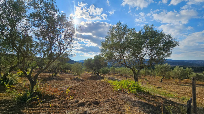 Terreno Agricolo in vendita a Squillace