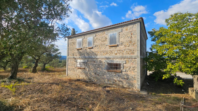 Terreno Agricolo in vendita a Squillace
