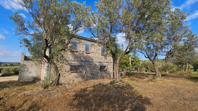 Terreno Agricolo in vendita a Squillace