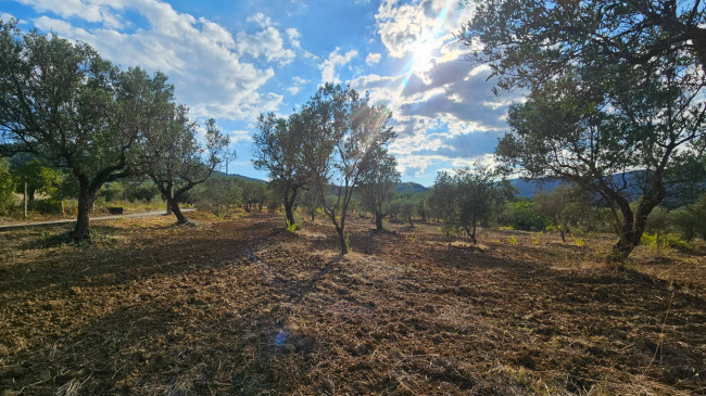 Terreno Agricolo in vendita a Squillace