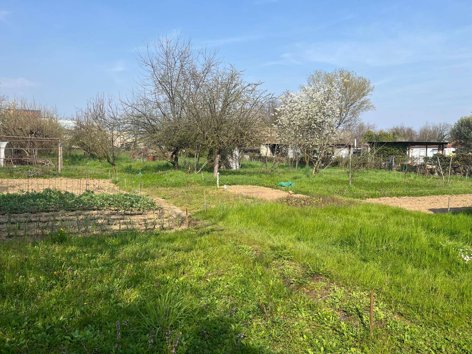 Terreno Agricolo in vendita a Limbiate