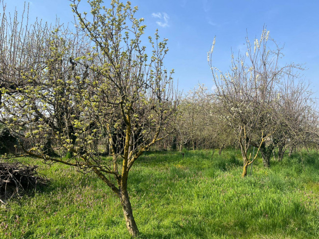 Terreno Agricolo in vendita a Limbiate