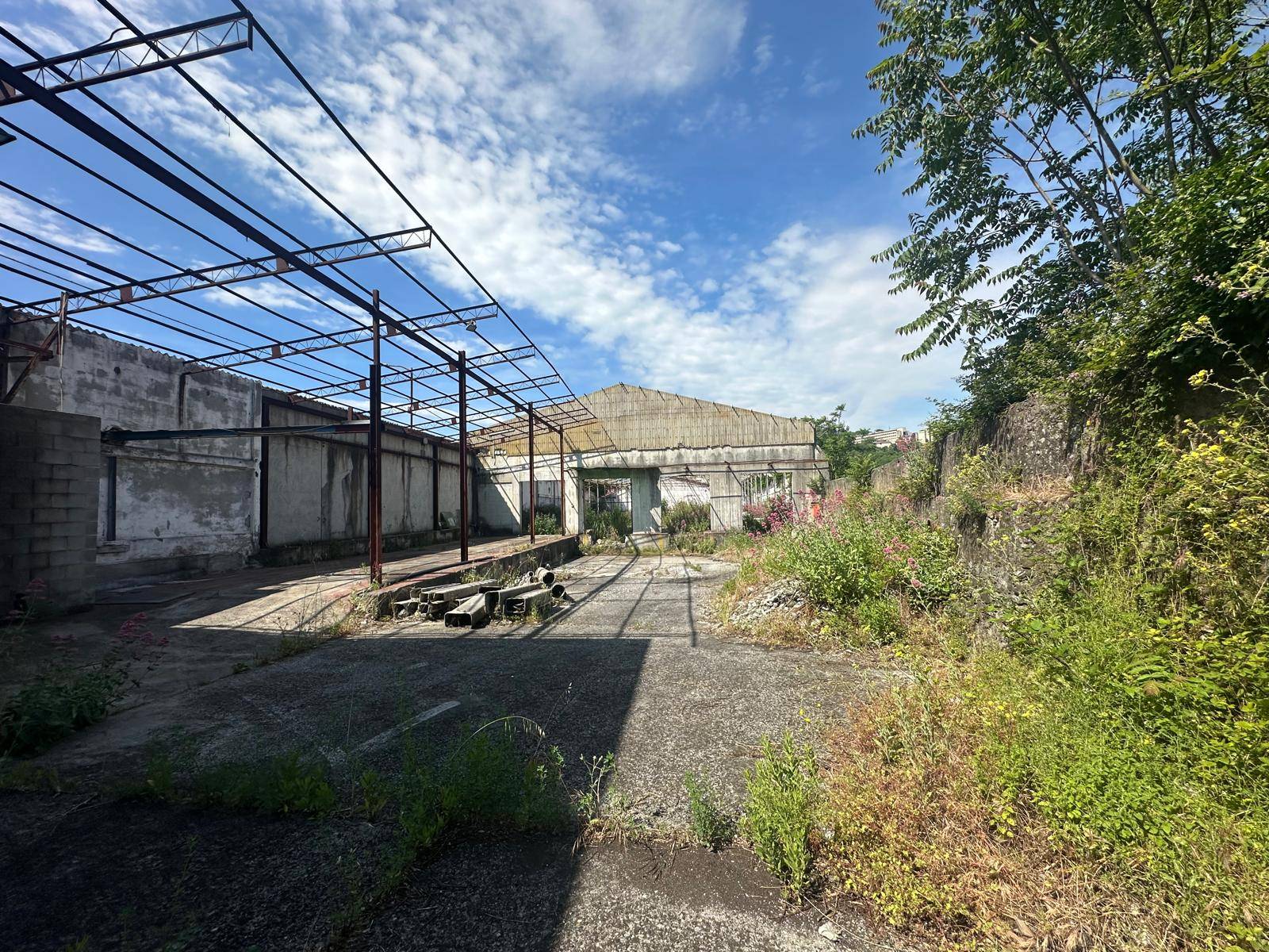 Capannone in Vendita