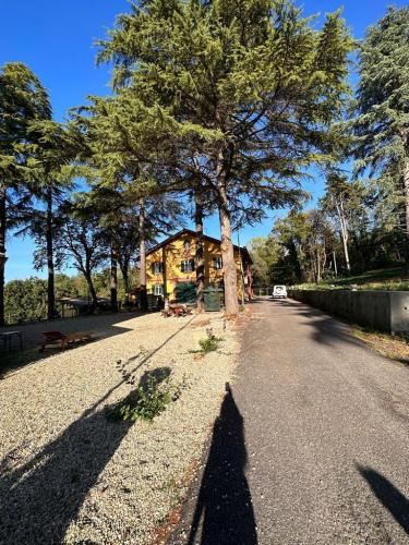 Villa in vendita a Cassano Spinola
