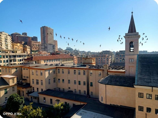 à vente à Genova