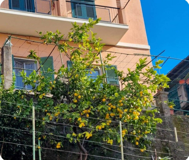 Casa semi indipendente in vendita a Genova