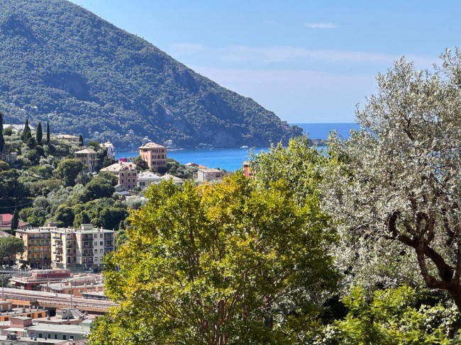 Appartamento in vendita a Recco