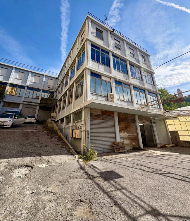  for sale in Genova