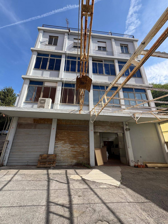  for sale in Genova