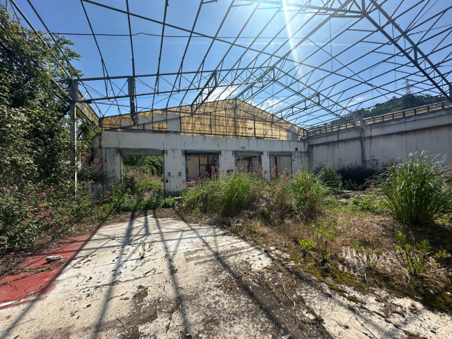  for rent in Genova