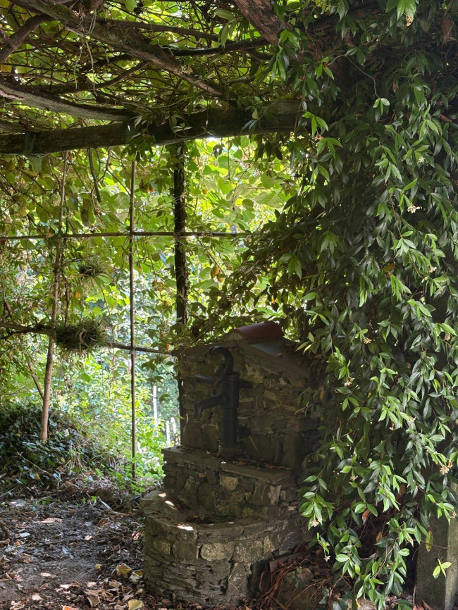 Villa in vendita a Sori