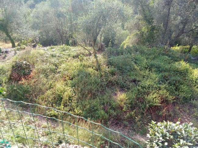 Appartamento in vendita a Stellanello