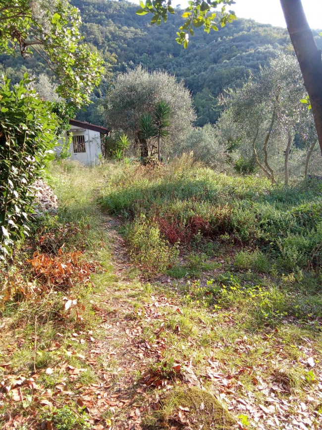 Appartamento in vendita a Stellanello