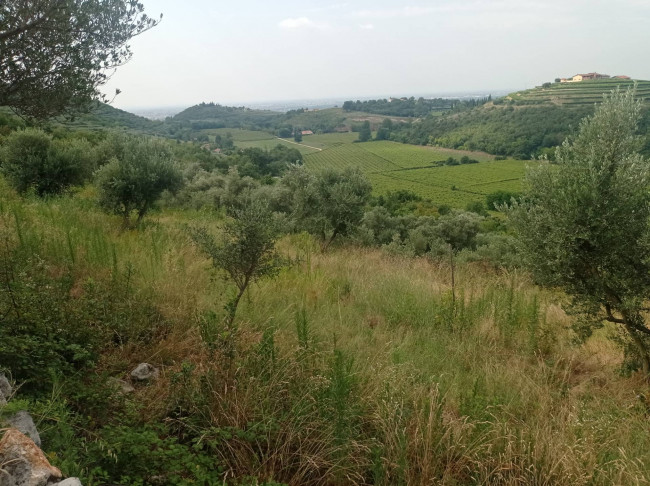 Terreno Agricolo in vendita a Verona
