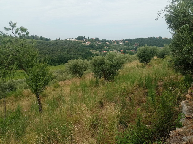 Terreno Agricolo in vendita a Verona
