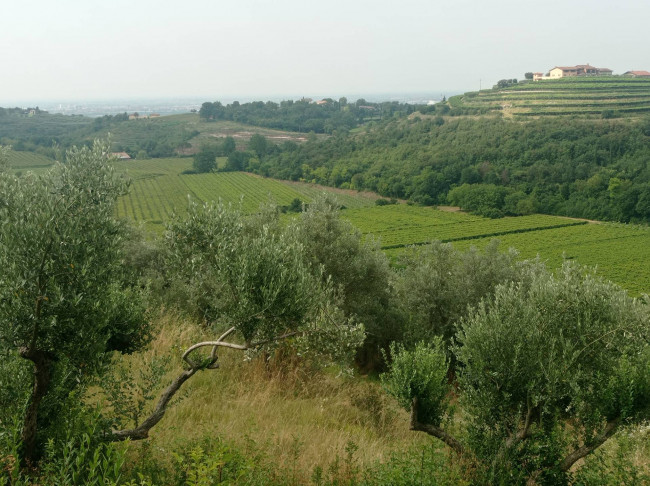 Terreno Agricolo in vendita a Verona