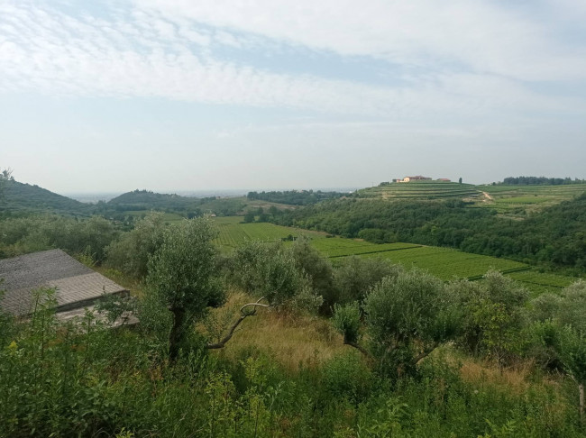 Terreno Agricolo in vendita a Verona