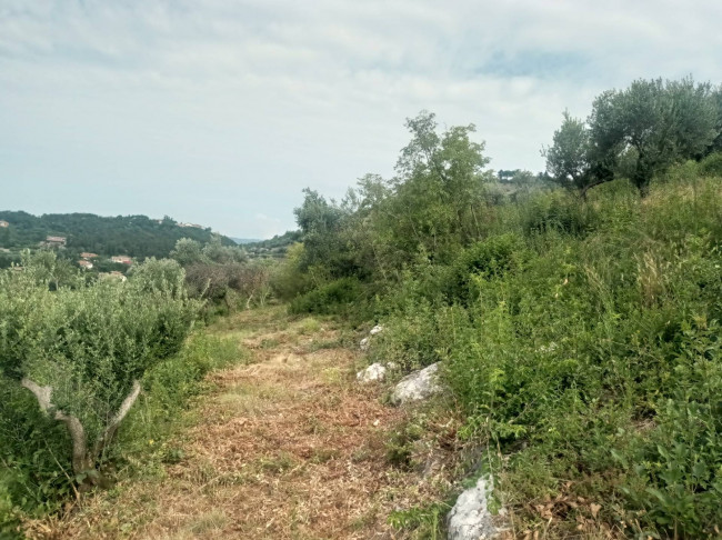 Terreno Agricolo in vendita a Verona