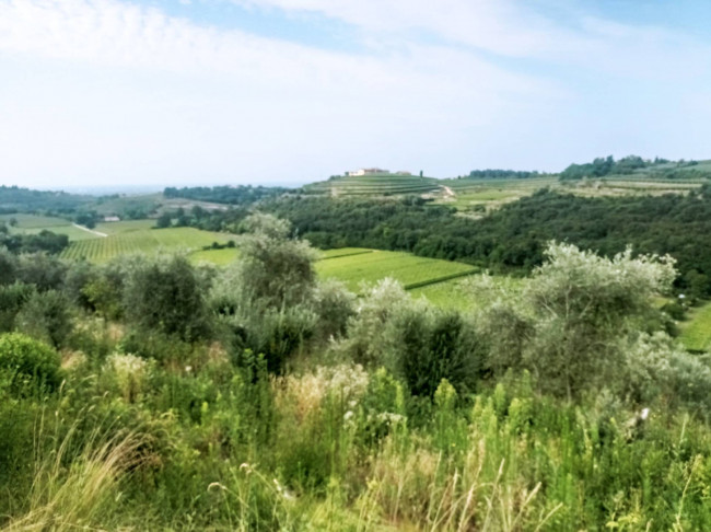 Terreno Agricolo in vendita a Verona