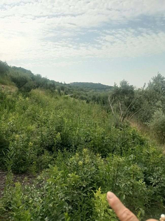 Terreno Agricolo in vendita a Verona