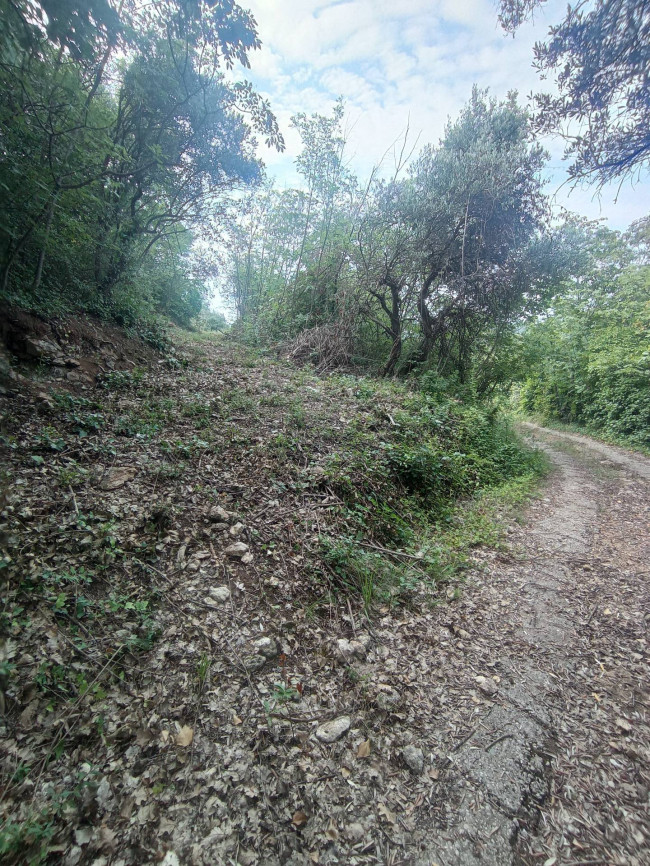 Terreno Agricolo in vendita a Verona