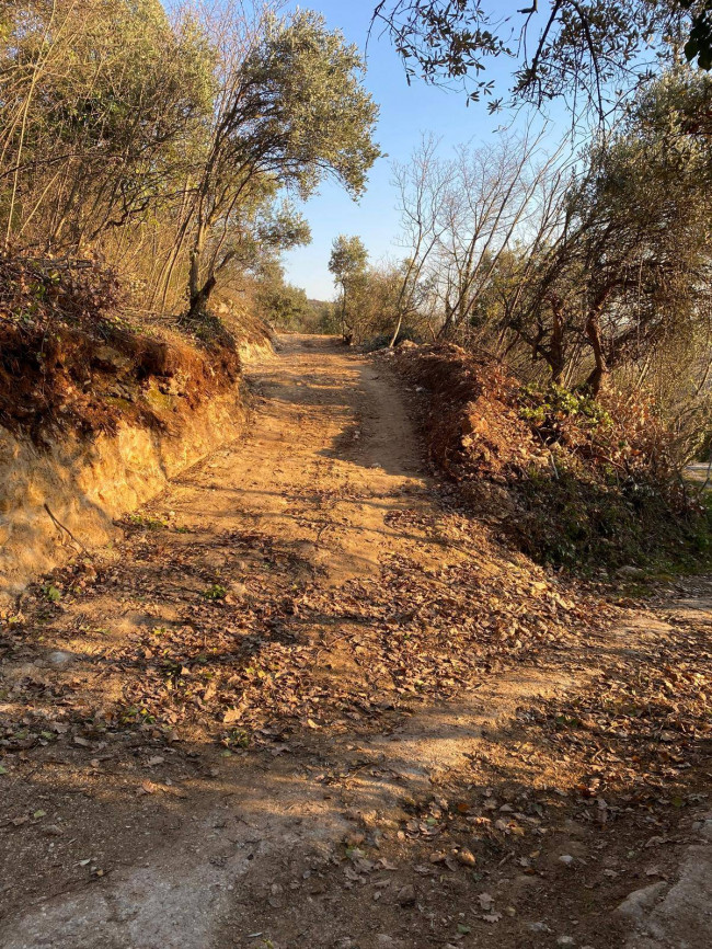 Terreno Agricolo in vendita a Verona