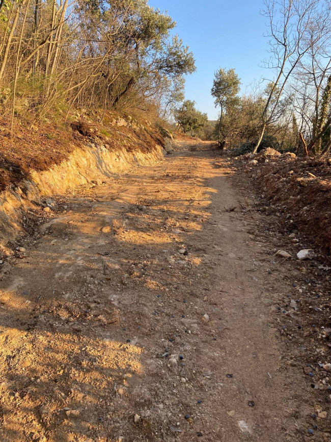 Terreno Agricolo in vendita a Verona