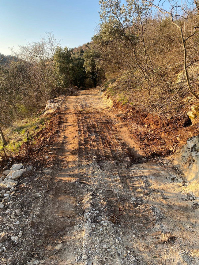 Terreno Agricolo in vendita a Verona