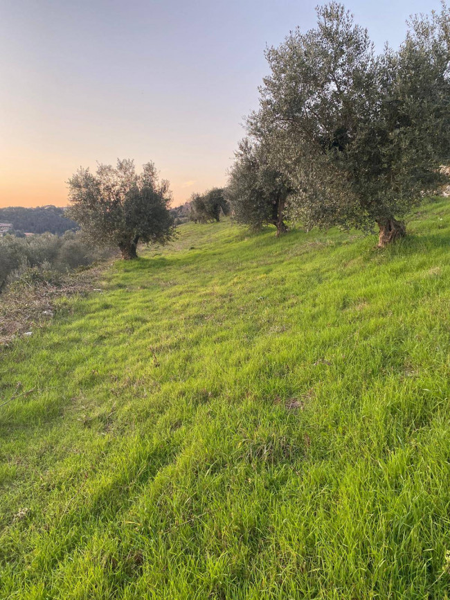 Terreno Agricolo in vendita a Verona