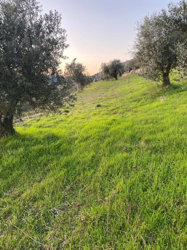 Terreno Agricolo in vendita a Verona