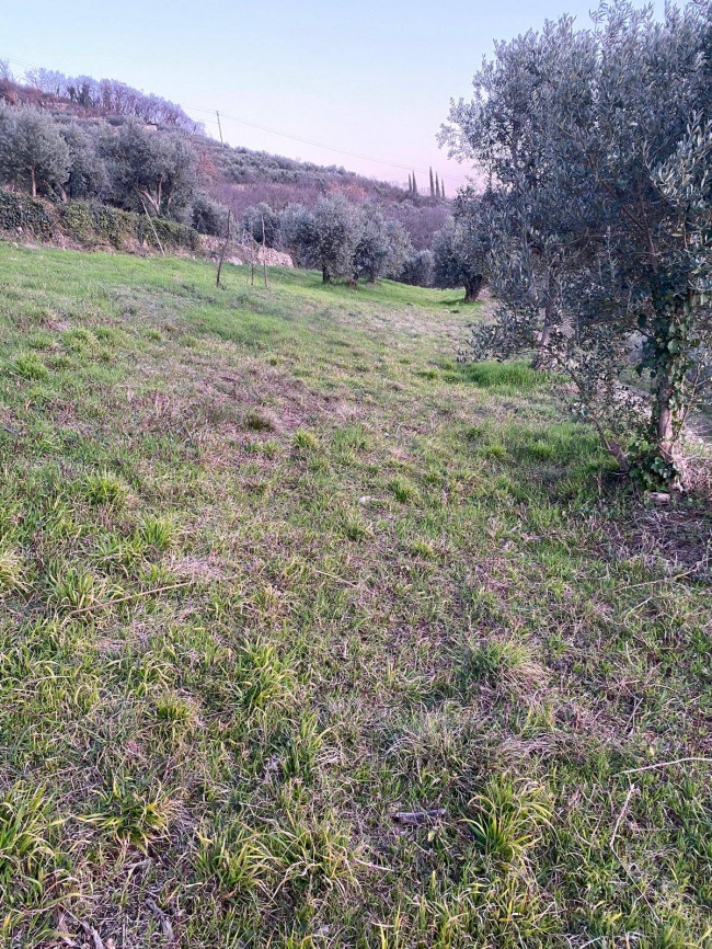 Terreno Agricolo in vendita a Verona