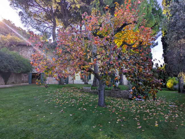 Villa in vendita a Torri del Benaco