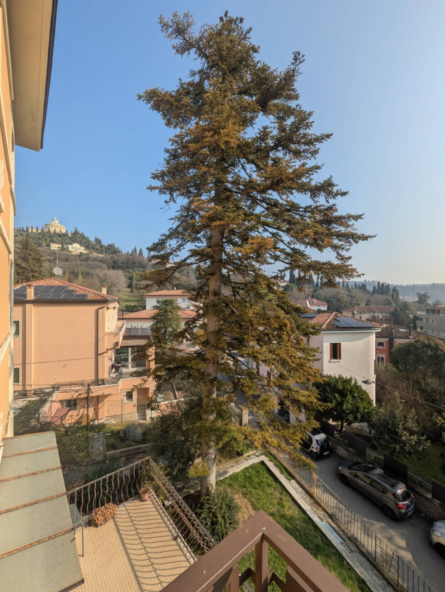Appartamento in affitto a Verona